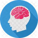 Human Brain Brain Ct Icon