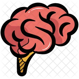 Human Brain  Icon