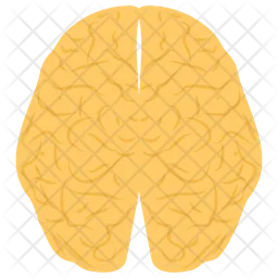 Human Brain  Icon