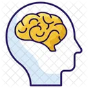 Human Brain Brain Anatomy Brain Icon