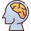 Brain Human Idea Icon