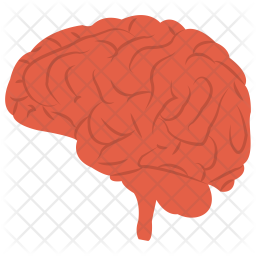 Human Brain Icon Of Flat Style Available In Svg Png Eps Ai Icon Fonts