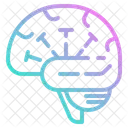 Human Brain Human Brain Icon