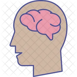 Human Brain  Icon