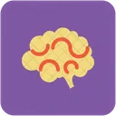 Brain Human Organ Icon