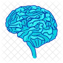 Human Brain Organ Icon