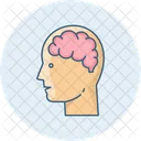 Human Brain  Icon