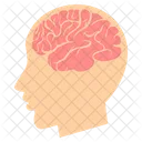 Human Brain  Icon