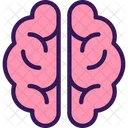 Medicine Brain Organ Icon