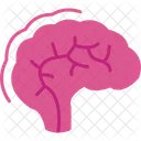 Human Brain Brain Mind Icon