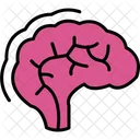 Human Brain Brain Mind Icon