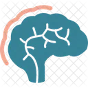 Mind Brain Thought Icon