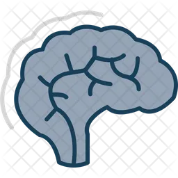 Human Brain  Icon