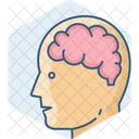 Human Brain Brain Ct Icon