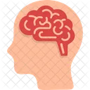 Human Brain Mindset Mind Icon