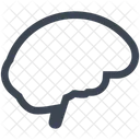 Brain Knowledge Mind Icon