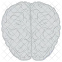 Brain Human Mind Icon