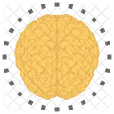 Brain Human Mind Icon
