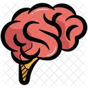 Human Brain Human Brain Icon