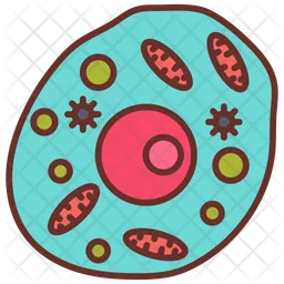 Human cell  Icon