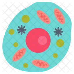 Human cell  Icon
