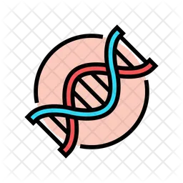 Human Dna  Icon