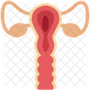 Ear Human Ear Body Part Icon
