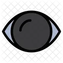 Human Eye  Icon