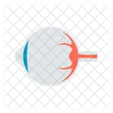 Human Eye  Icon