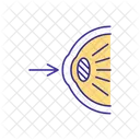 Human Eye Human Eye Icon