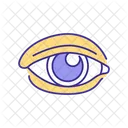 Human Eye Human Eye Icon