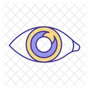 Human Eye Human Eye Icon