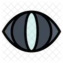 Human Eye  Icon