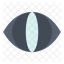 Human Eye  Icon