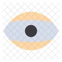 Human Eye  Icon