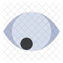 Human Eye  Icon