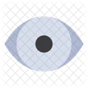 Human Eye  Icon
