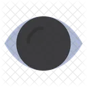 Human Eye  Icon