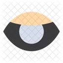 Human Eye  Icon