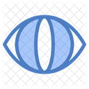 Human Eye  Icon