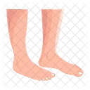 Human Feet  Icon