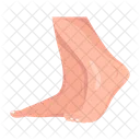 Human Feet  Icon