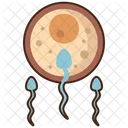 Human Fertilization  Icon