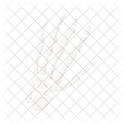 Human hand bone  Icon