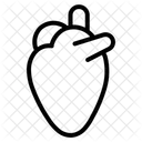 Human Anatomy Icon