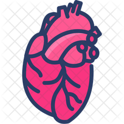 Download Free Human Heart Icon Of Colored Outline Style Available In Svg Png Eps Ai Icon Fonts