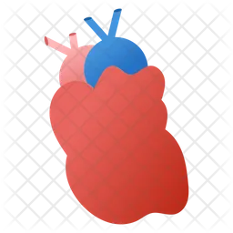 Human Heart  Icon