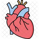 Human Heart Body Part Heart Icon