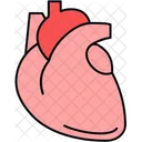 Human heart  Icône