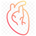 Human Heart Heart Cardiology Icon